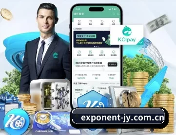 九游体育 APP 深度功能（jiuyou）